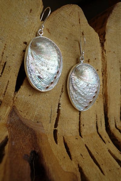 Sterling Silver with Natural Stone Earrings